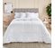 Couette 94% Duvet 220gr D'hiver 220x220cm