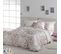 Housse De Couette 100% Coton Izamal 260x240 Cm Beige