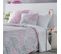 2 Taies D'oreiller Naf Naf Careus 65x65 Cm  - Rose