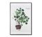 Potted Plant - Peinture Décorative 80 X 60 Cadre Noir