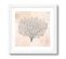 Oak Tree - Tableau Décoratif 30 X 30 Cadre Blanc