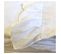 Drap housse En Coton Blanc 105x190cm