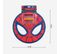 Livre De Coloriage Spiderman 2700000326