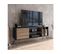 Meuble TV Style Industriel 1 Porte Erva L140cm Bois Foncé Et Noir