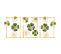 Set De 3 Cadres Décoratifs Muraux Charm Feuilles De Trèfle L50xh70cm Métal Or Et Vert