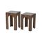 Set De 2 Tables D'appoint Vittina Bois Foncé Et Verre Fumé Gris