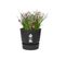 Pot De Fleurs Rond Greenville 30 - Extérieur - Ø 29,5 X H 27,8 Cm - Vivre Noir