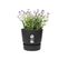 Pot De Fleurs Rond Greenville 30 - Extérieur - Ø 29,5 X H 27,8 Cm - Vivre Noir