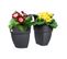 Pot De Fleurs  Vibia Campana Flower Twin 21  Anthracite  Balcon Extérieur  L 38. 4xw 20. 5xh 26. 5