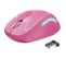 Souris sans fil - 22336