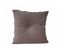 Coussin Design Carré En Velours Luxurious - Gris