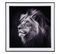 Cadre Et Photo D'art Noir Et Blanc Lion Noir