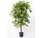 Ficus Artificiel Deluxe 140 Cm En Pot