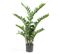 Zamioculcas Artificiel Vert 110 Cm 11.662c