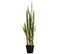 Plante Artificielle Sanseveria En Pot En Plastique 97 Cm