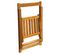 Chaises Pliables De Jardin 2 PCs Bois D'acacia Solide