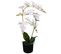Plante Artificielle Avec Pot Orchidée 65 Cm Blanc