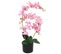 Plante Artificielle Avec Pot Orchidée 65 Cm Rose