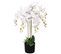 Plante Artificielle Avec Pot Orchidée 75 Cm Blanc