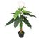 Plante Artificielle Avec Pot Lis Calla 85 Cm Blanc
