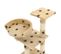 Arbre à Chat Et Griffoirs En Sisal 65 Cm Beige Motif De Pattes