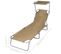 Chaise Longue Pliable Avec Auvent Acier Taupe