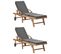 Chaises Longues Et Coussins 2pcs Bois De Teck Solide Gris Foncé