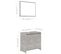 Meuble Sous-Lavabo 60 x 33 x 61 Cm + Miroir - Gris