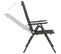 Chaises Pliables De Jardin 2 PCs Textilène Et Aluminium Noir