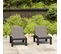 Chaises De Salon De Jardin Avec Coussins 2 PCs Plastique Gris