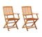 Chaises de jardin pliables 2 pcs Bois d'eucalyptus massif