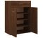 Armoire à Chaussures Chêne Marron 60x35x84 Cm Bois Contreplaqué