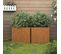 Jardinières 2 PCs 32x30x29 Cm Acier Corten