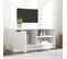 Meuble TV - Banc TV - Meuble De Rangement Pour Salon Blanc Brillant 80x35x36,5 Cm Bois D'ingénierie