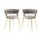 Lot De 2 Chaises En Velours - Gris