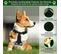 Harnais Pour Chien LED Réglable Harnais Pour Chiot Respirant Harnais Pour Chien M